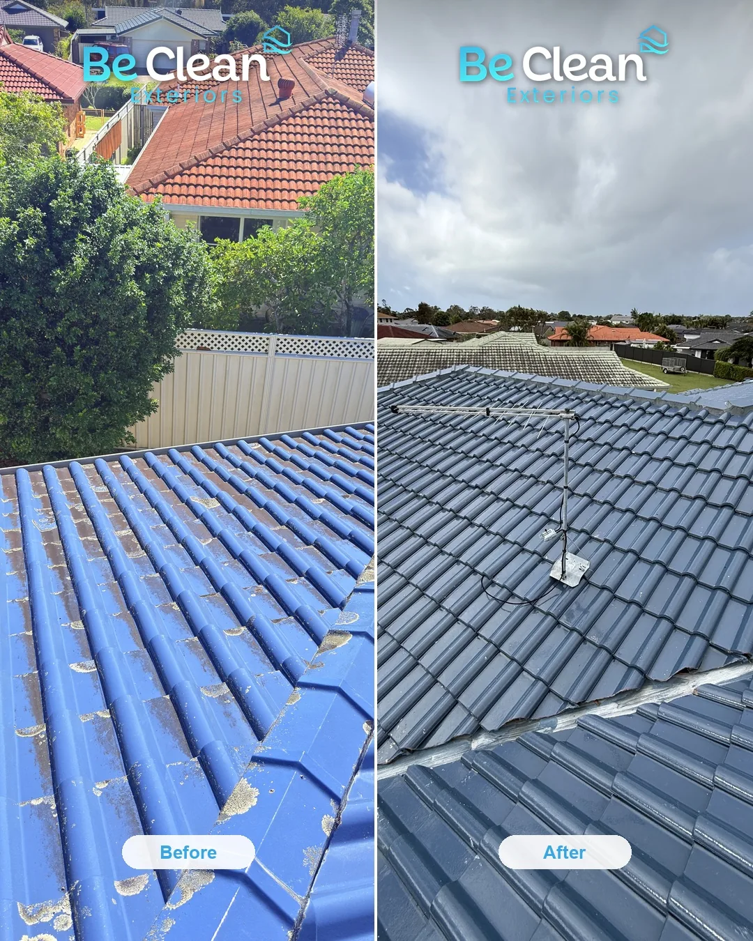 Lichen off glazed tile before and after by Be Clean Exteriors