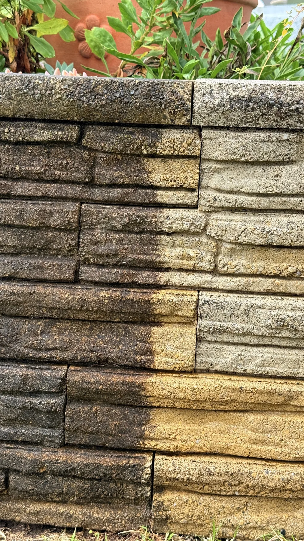 Sandstone retaining wall softwash result by Be Clean Exteriors, untreated on the left and cleaned on the right